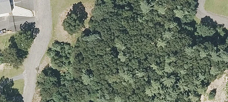Nn Rd