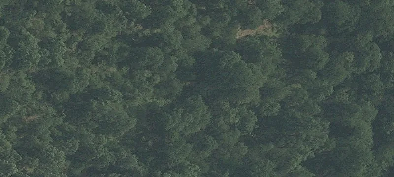 Indian Spgs Rd