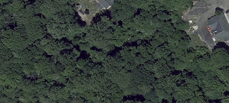 2520 Solomons Is Rd