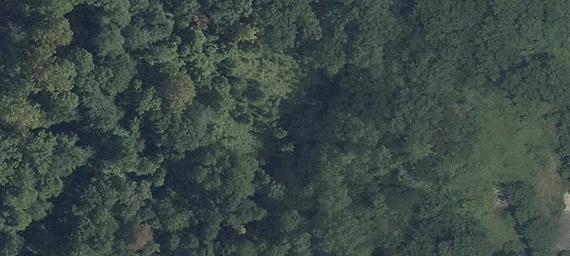 12800 Virginia Mnr Rd