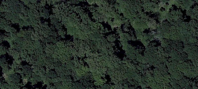 Zeitler Rd