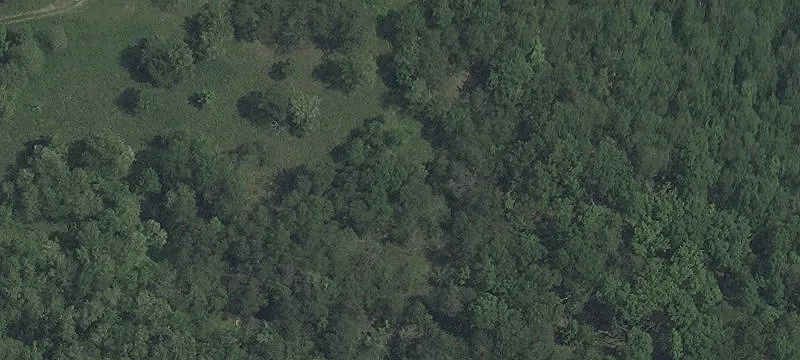 10070 Country Clb SE Rd
