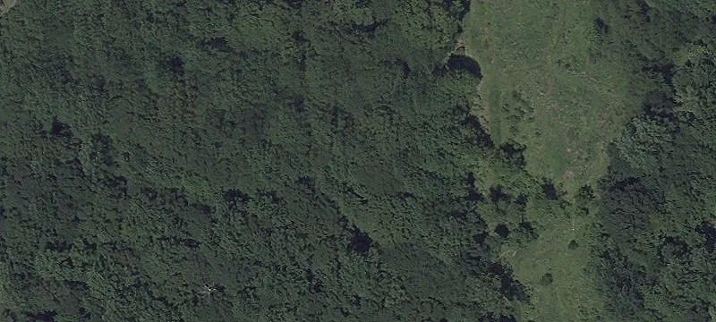 12261 Cross Rd Trl