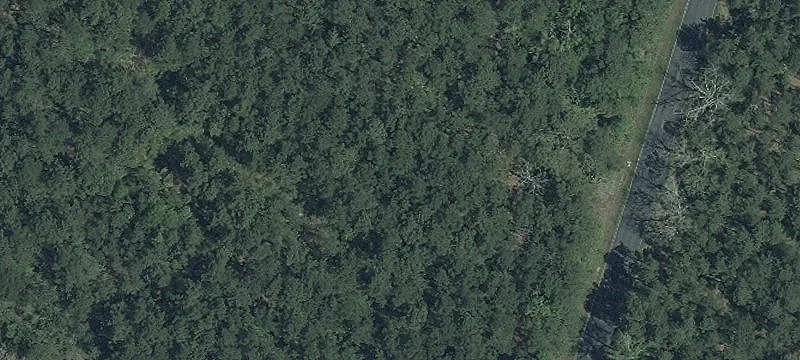 6099 60th Foot Rd