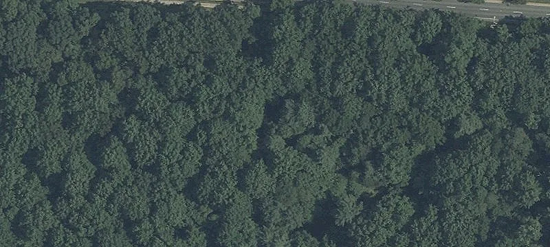 8721 Snouffer School Rd