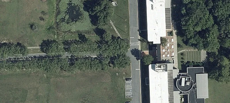 11305 Springfield Rd
