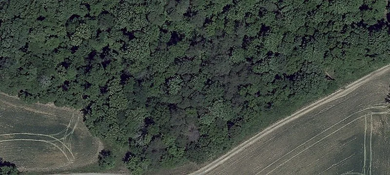 420 Calvert Hls Rd
