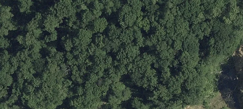 3405 Ml Grn Rd