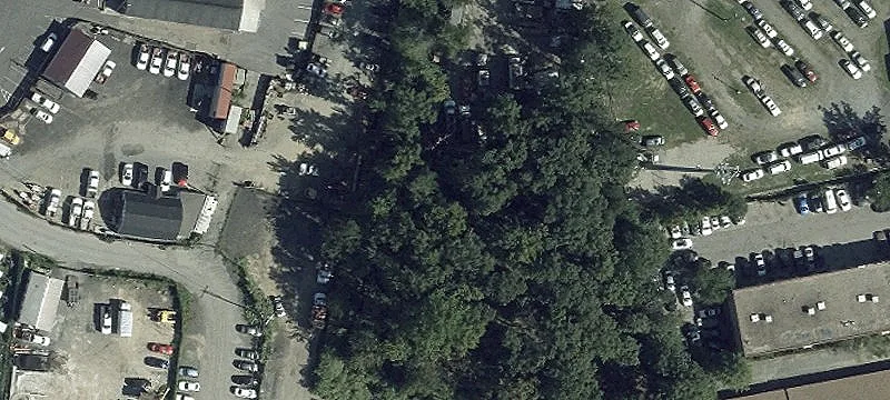 7911 Lewis Spg Ave