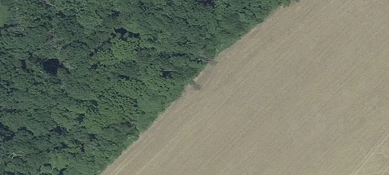 2300 Mt Carmel Rd