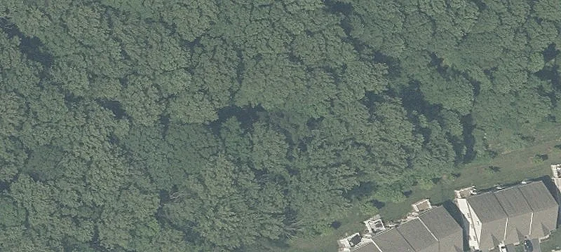 11010 Resort Rd