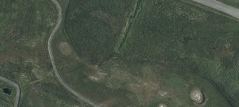 Wye Nck Rd
