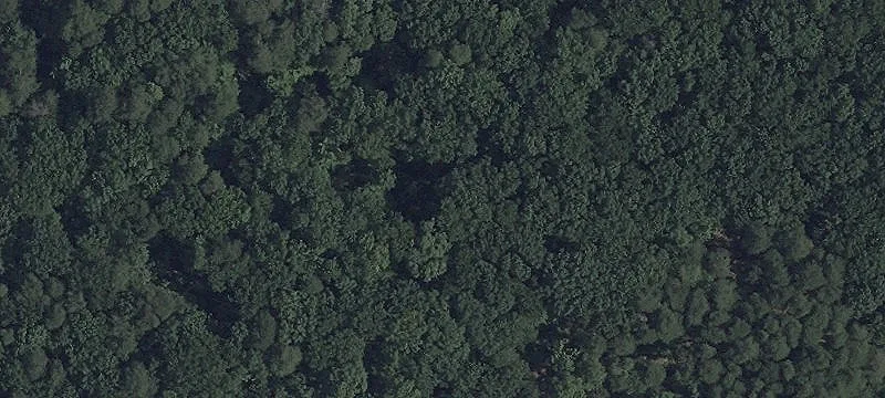 Lexington Park, MD 20653