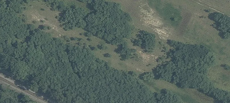 Metropolitan Grove