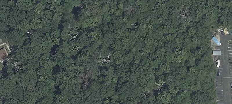 Indian Head Hwy