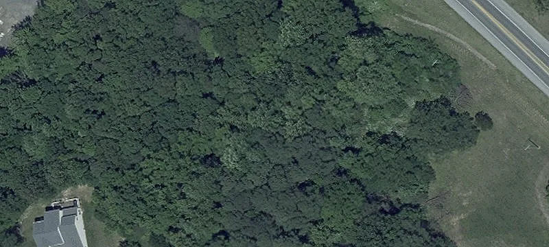 Leonardtown, MD 20650