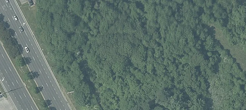 Gorsuch Rd