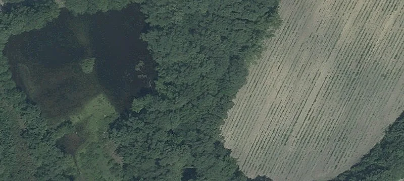 Fruitland, MD 21826