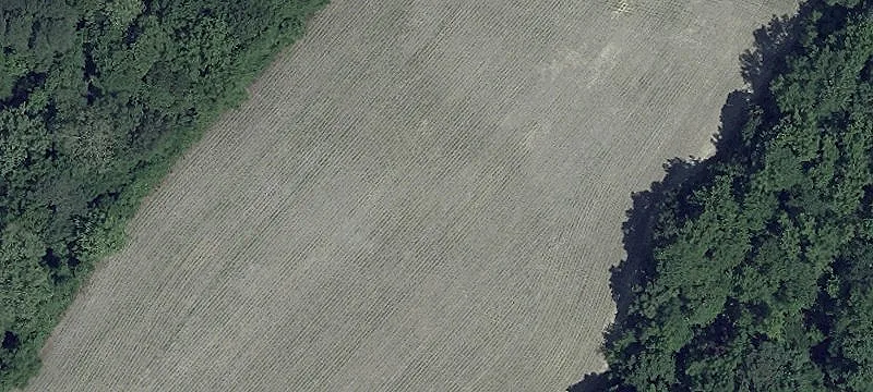 Leonardtown, MD 20650