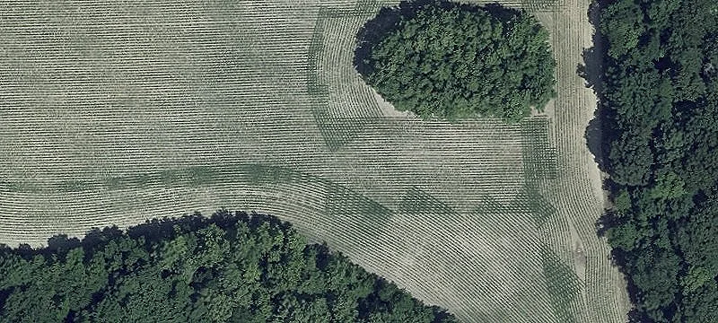 Leonardtown, MD 20650