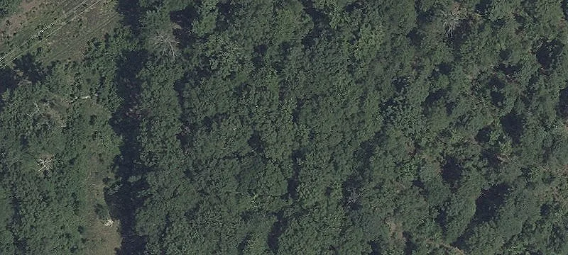 Bryans Road, MD 20616