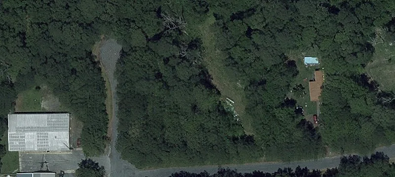 Pin Oak Ln