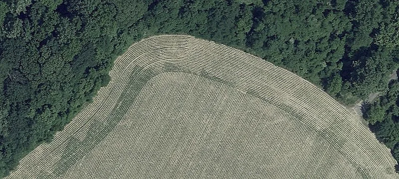 Leonardtown, MD 20650