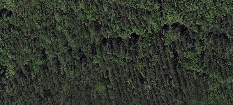 Sharpless Mine Rd
