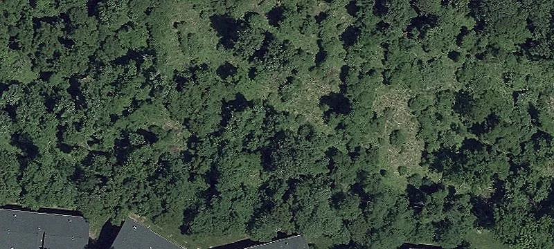 Park Ave