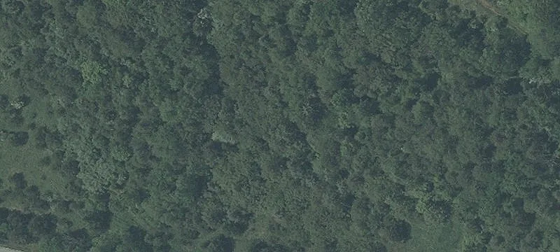 10308 Harney Rd