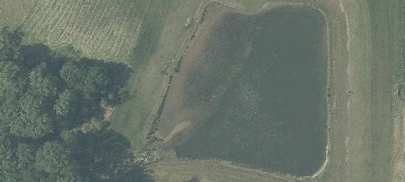 M Pond