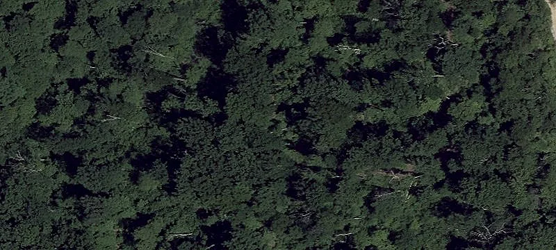 Principio Rd
