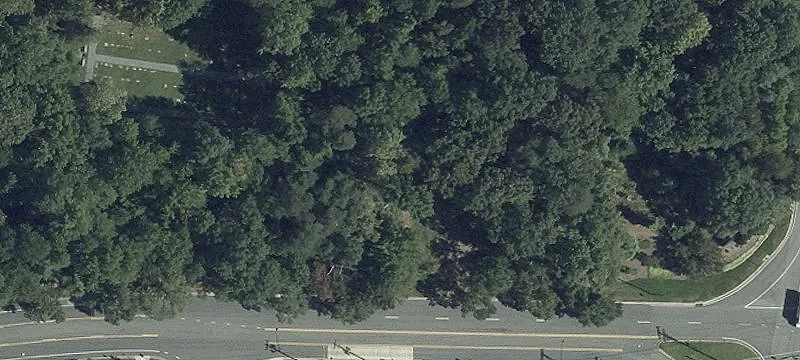 Ivy Ln