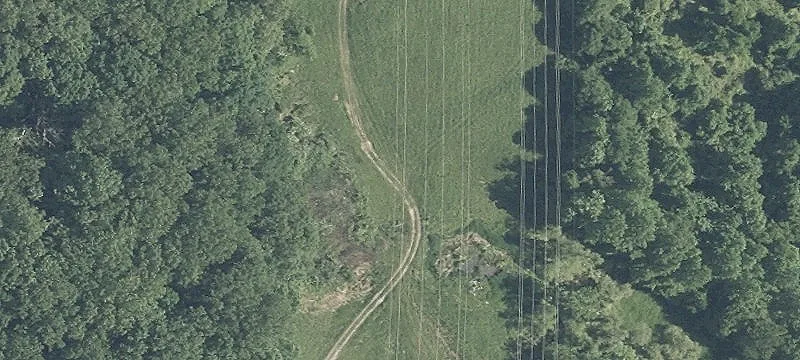 Nicodemus Rd