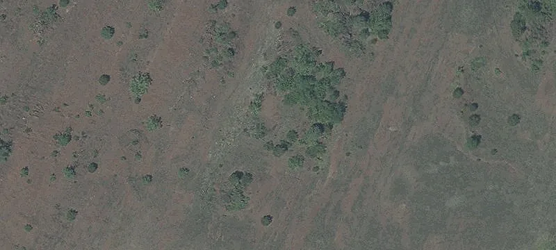 Old Ml Rd