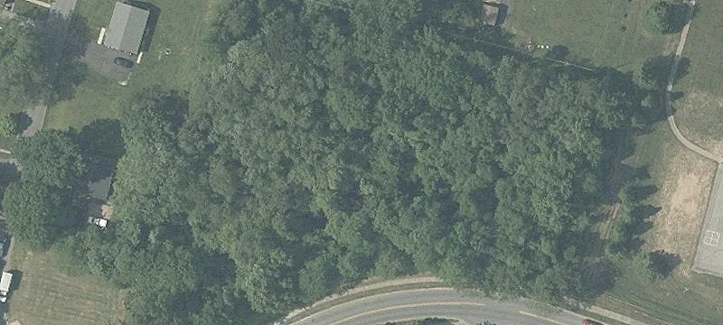 Dickenson Rd