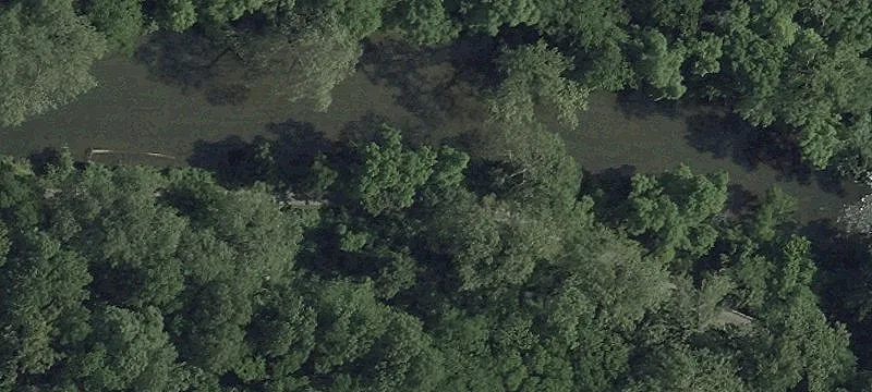 Rte 161