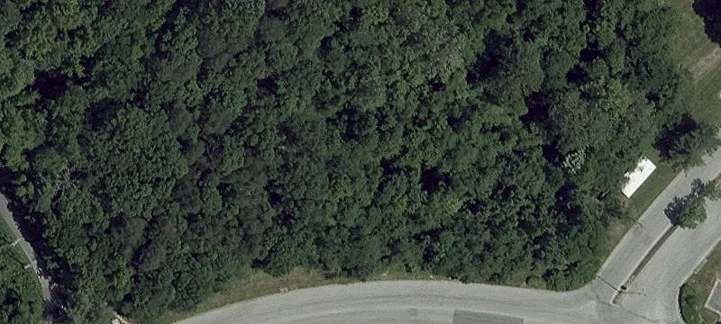 Ritchie Hwy