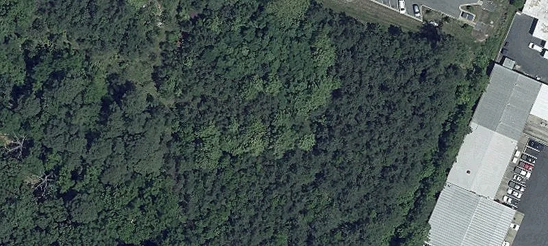 Pt Lookout Rd