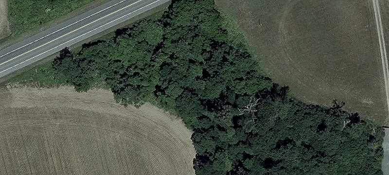 Mcginnes Rd