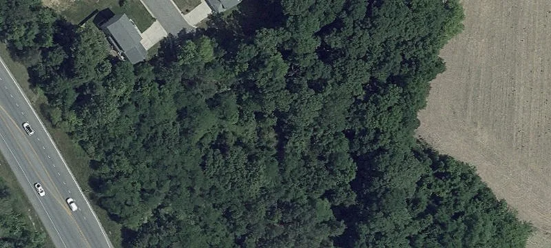 Cedar Ln