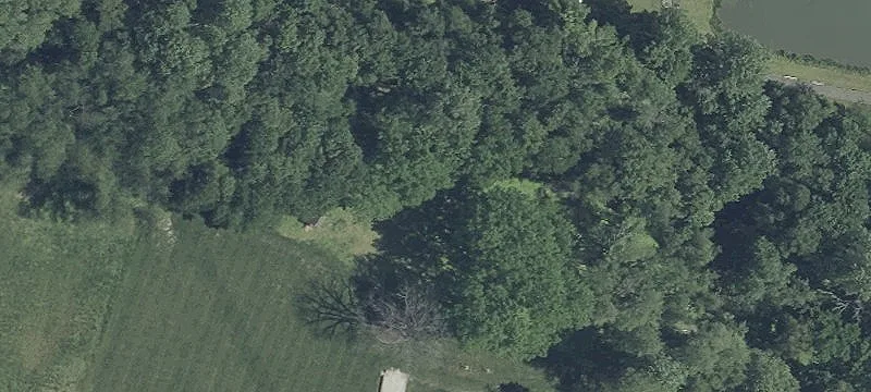 Mcdonogh Rd