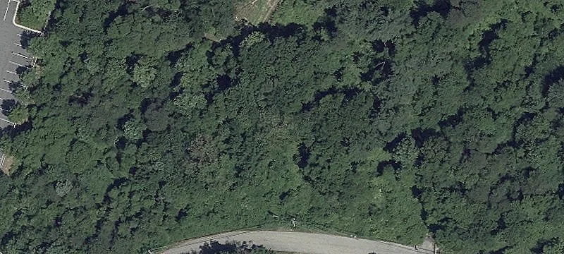 Stoney Run Rd