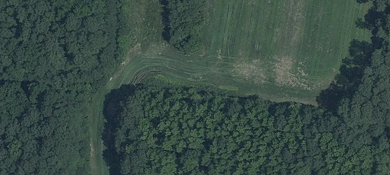 Foskey Rd