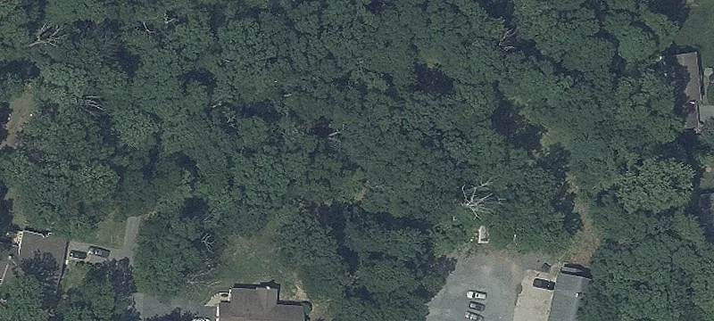 Lynn Burke Rd
