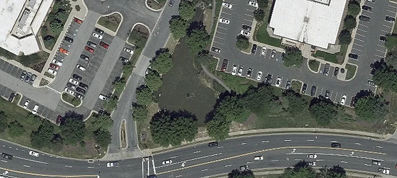 Campbell Blvd