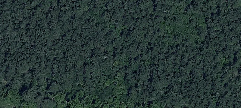 Old Bradley Rd