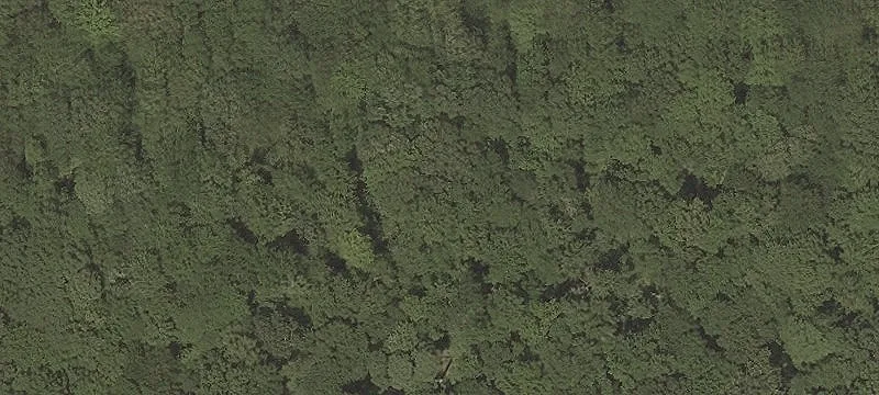 Stone Boundary Rd