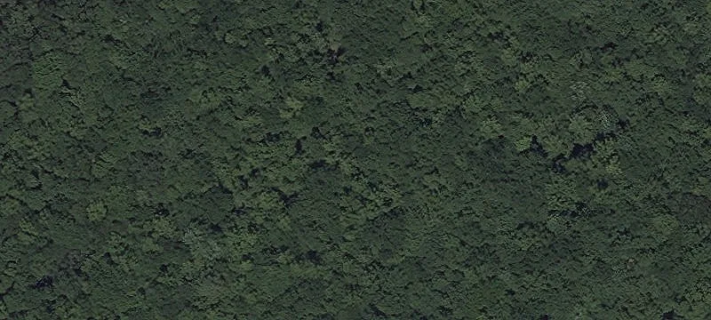 Swamp Cir Rd