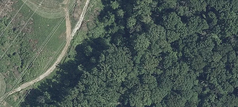 Longnecker Rd